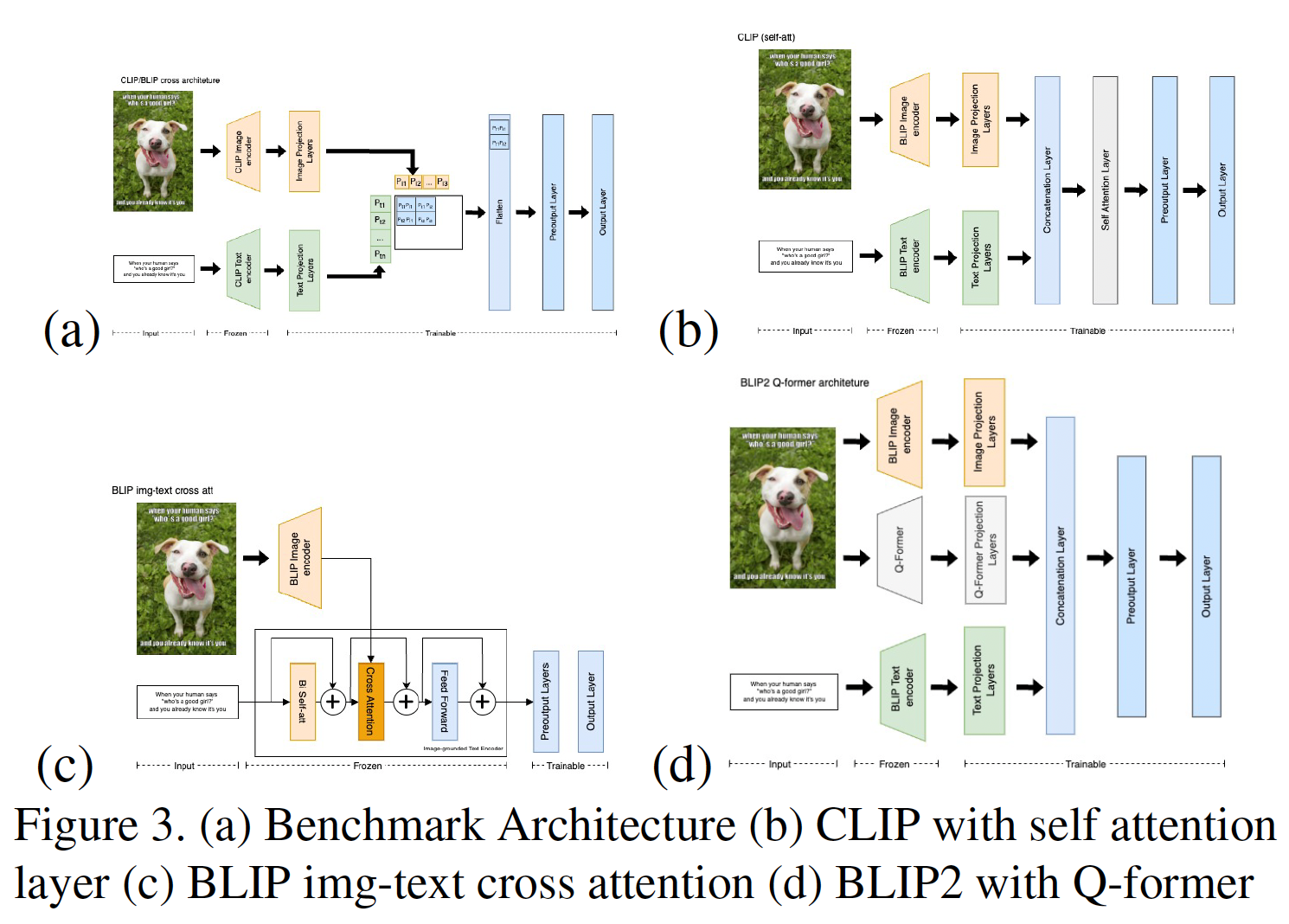 Model Architectures